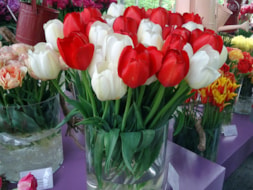 White love & Red love (2)